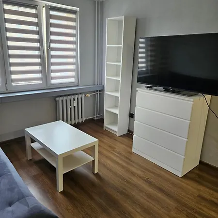 Pati シフィノウイシチェ